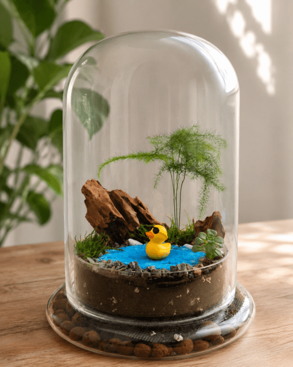 Duck Pond Glass Dome Terrarium