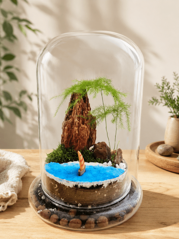 Blue Lagoon Glass Dome Terrarium