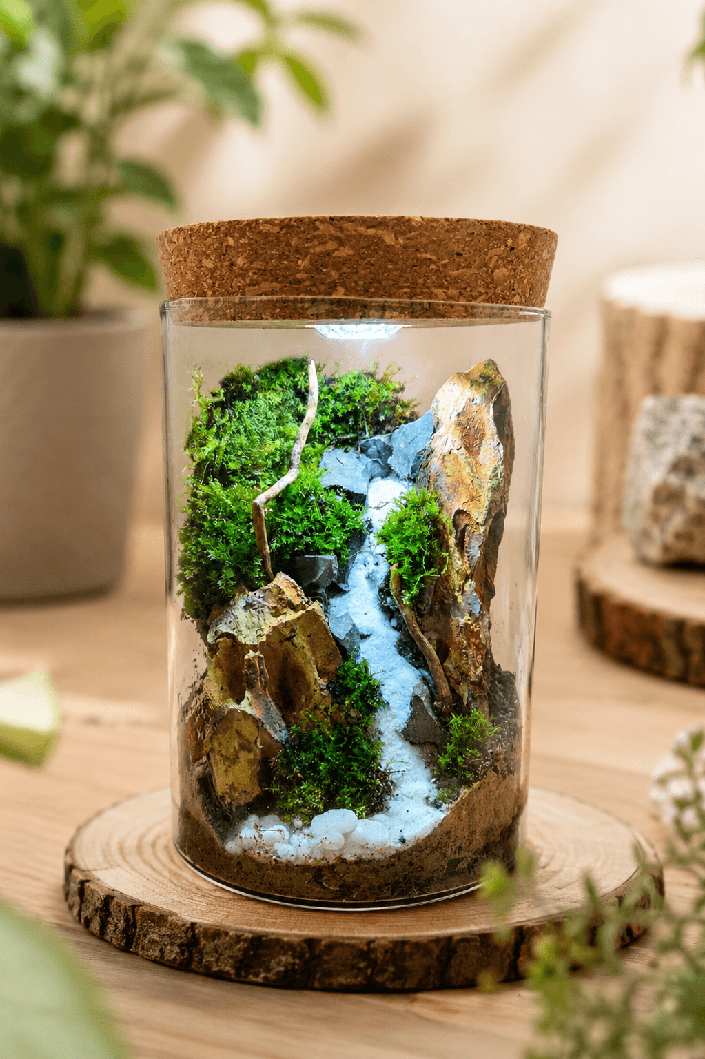 Mountain Stream Moss Terrarium