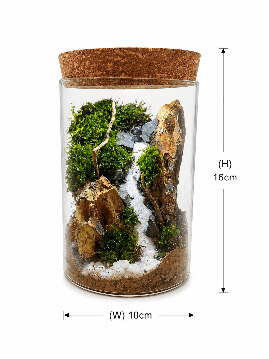 Mountain Stream Moss Terrarium - Image 2