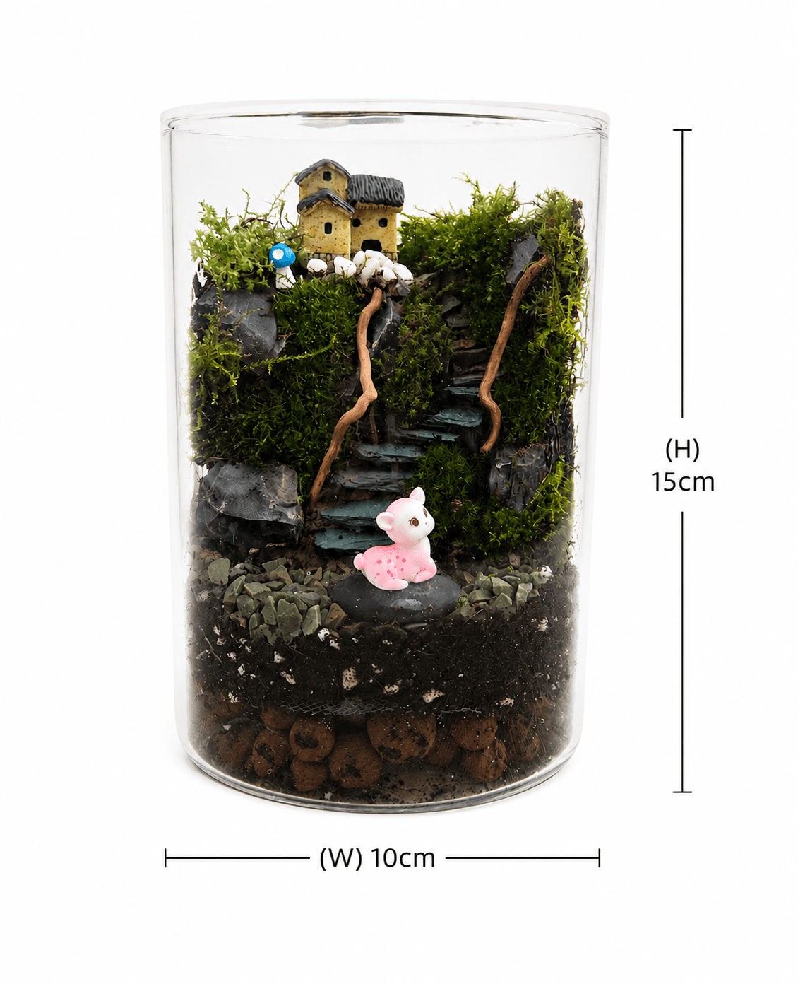 Enchanted Forest Cottage Terrarium - Image 2