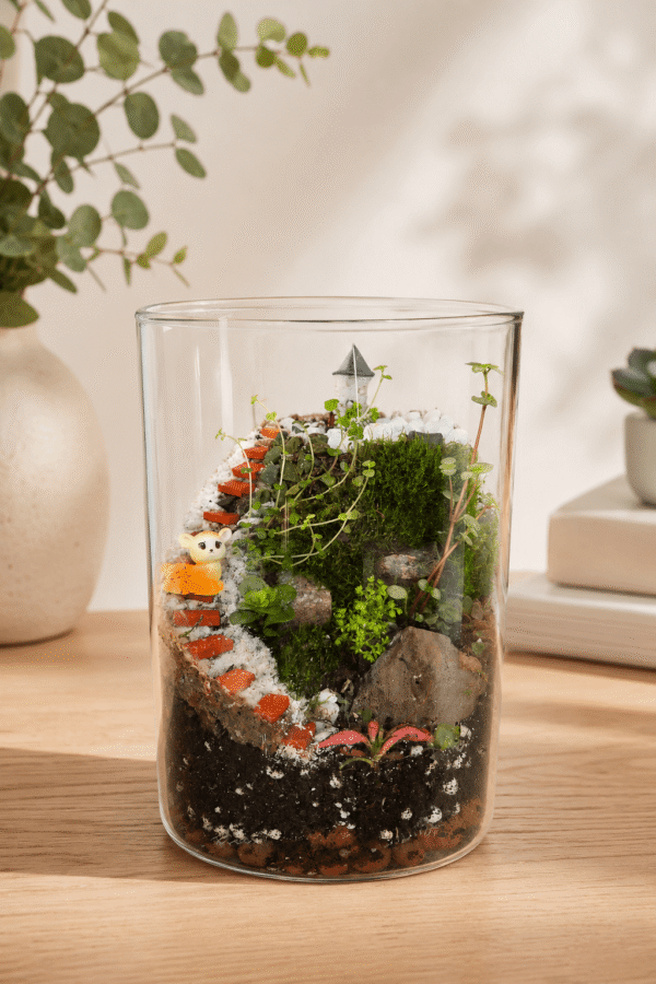 Fairy Hill Castle Terrarium