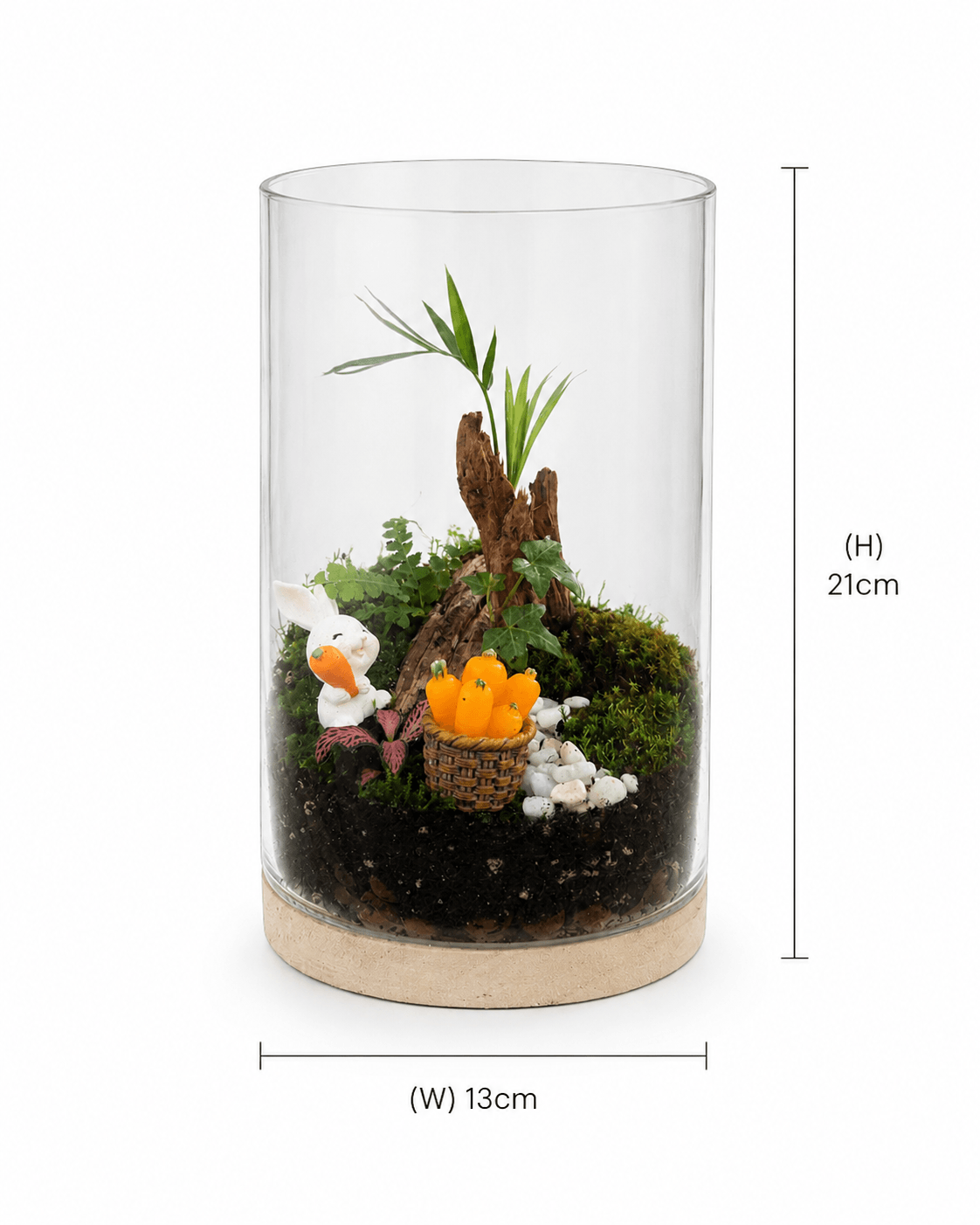 Carrot Grove Bunny Terrarium - Image 2