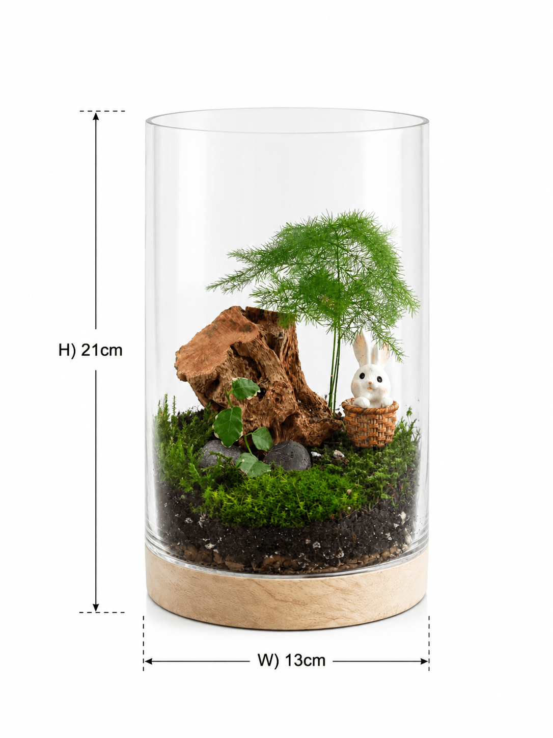 Woodland Whisper Bunny Terrarium - Image 2