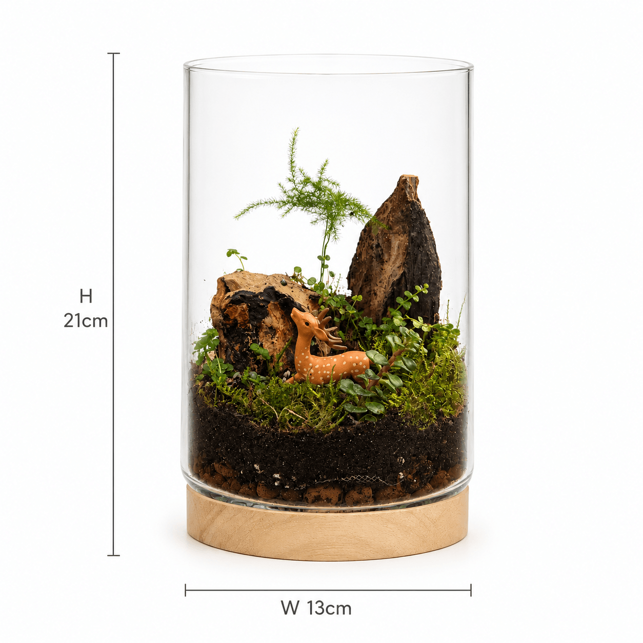 Hidden Grove Deer Terrarium - Image 2