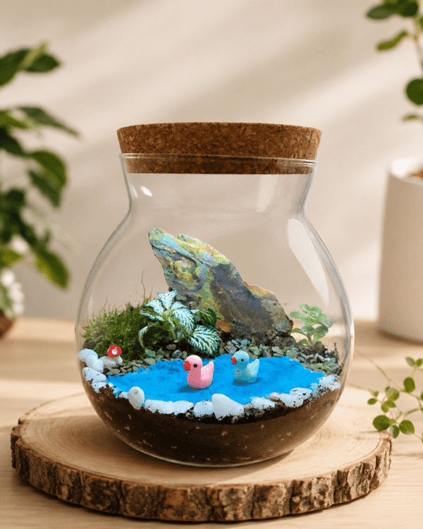 Blue Lagoon Duck Terrarium