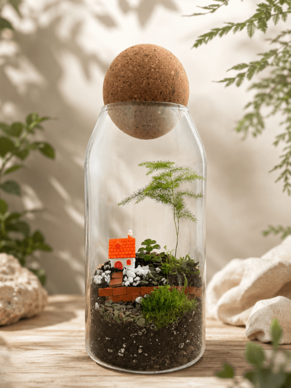 Little Red Cottage Terrarium