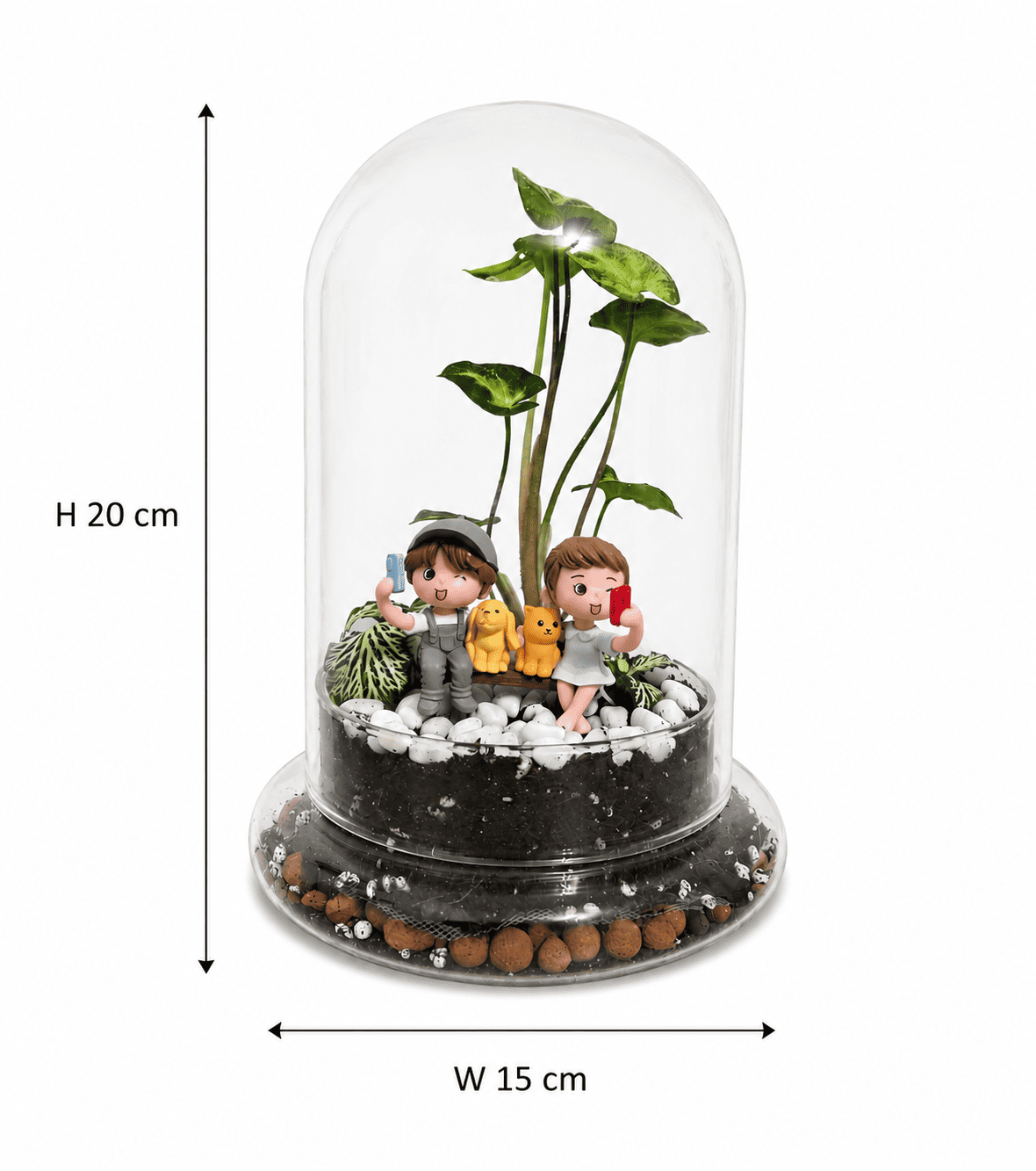 Forever Us Mini Terrarium Dome - Image 2