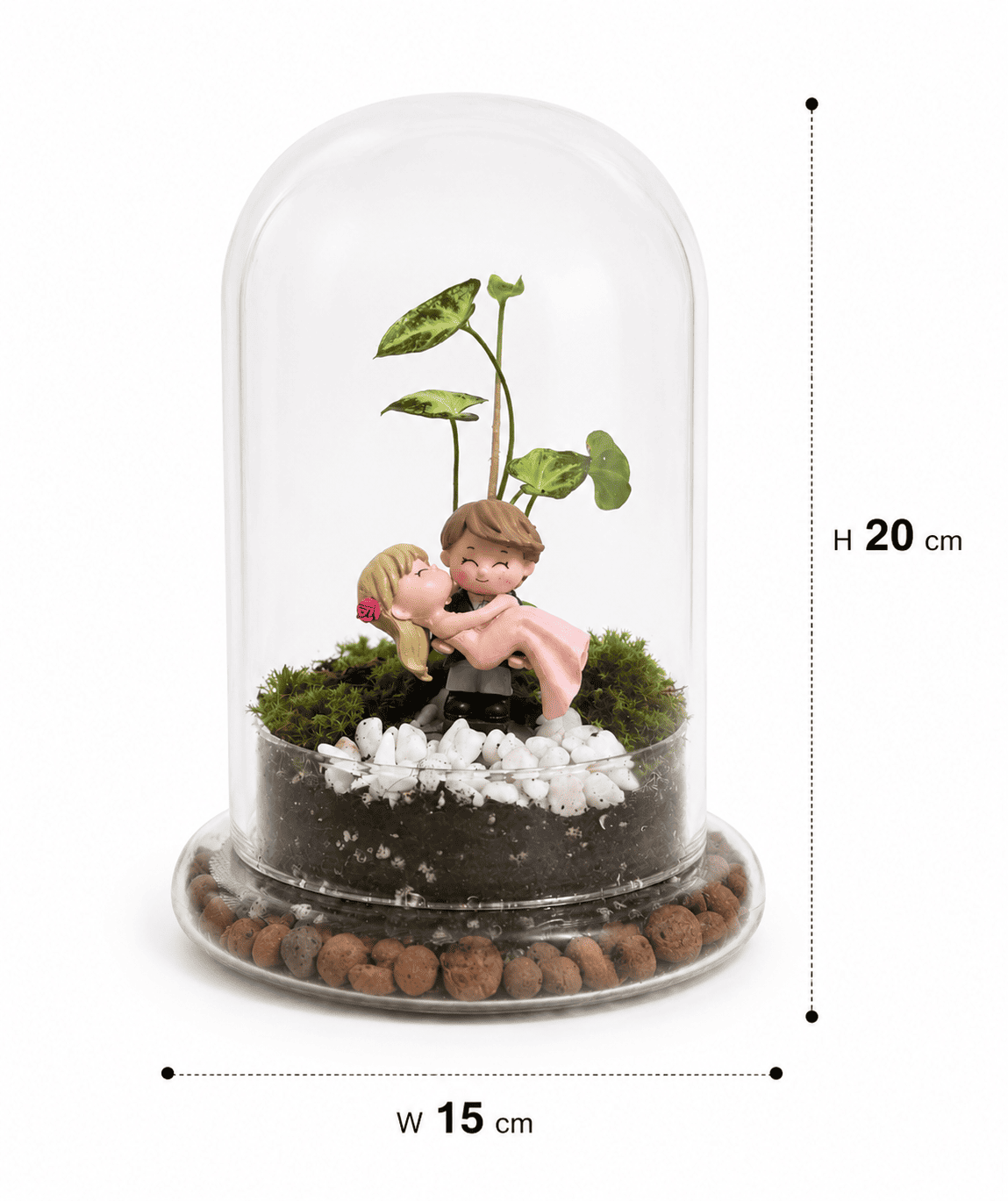 Forever in Bloom – Romantic Couple Terrarium Dome - Image 2