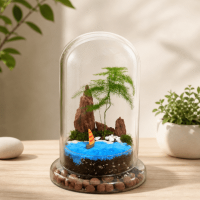 🌊 Seascape Terrarium