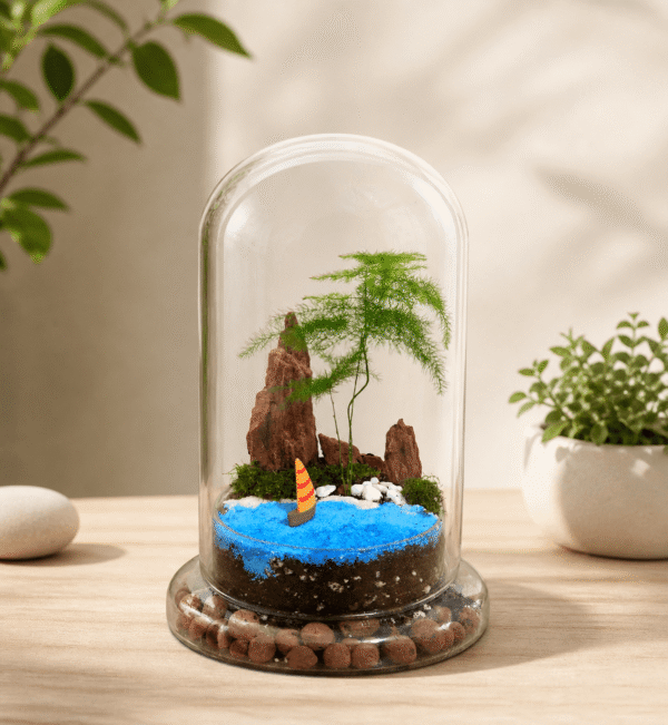 Island Breeze Glass Dome Terrarium