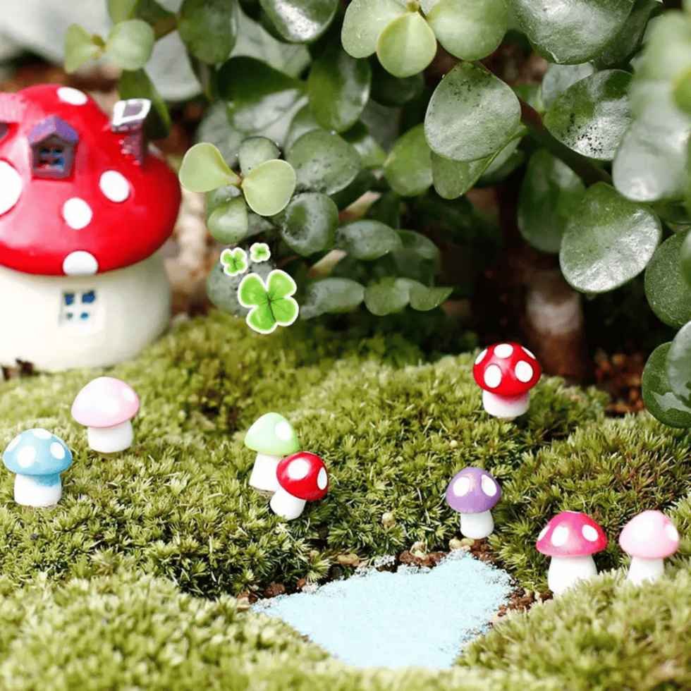 Mini Mushroom Set (5 pcs)