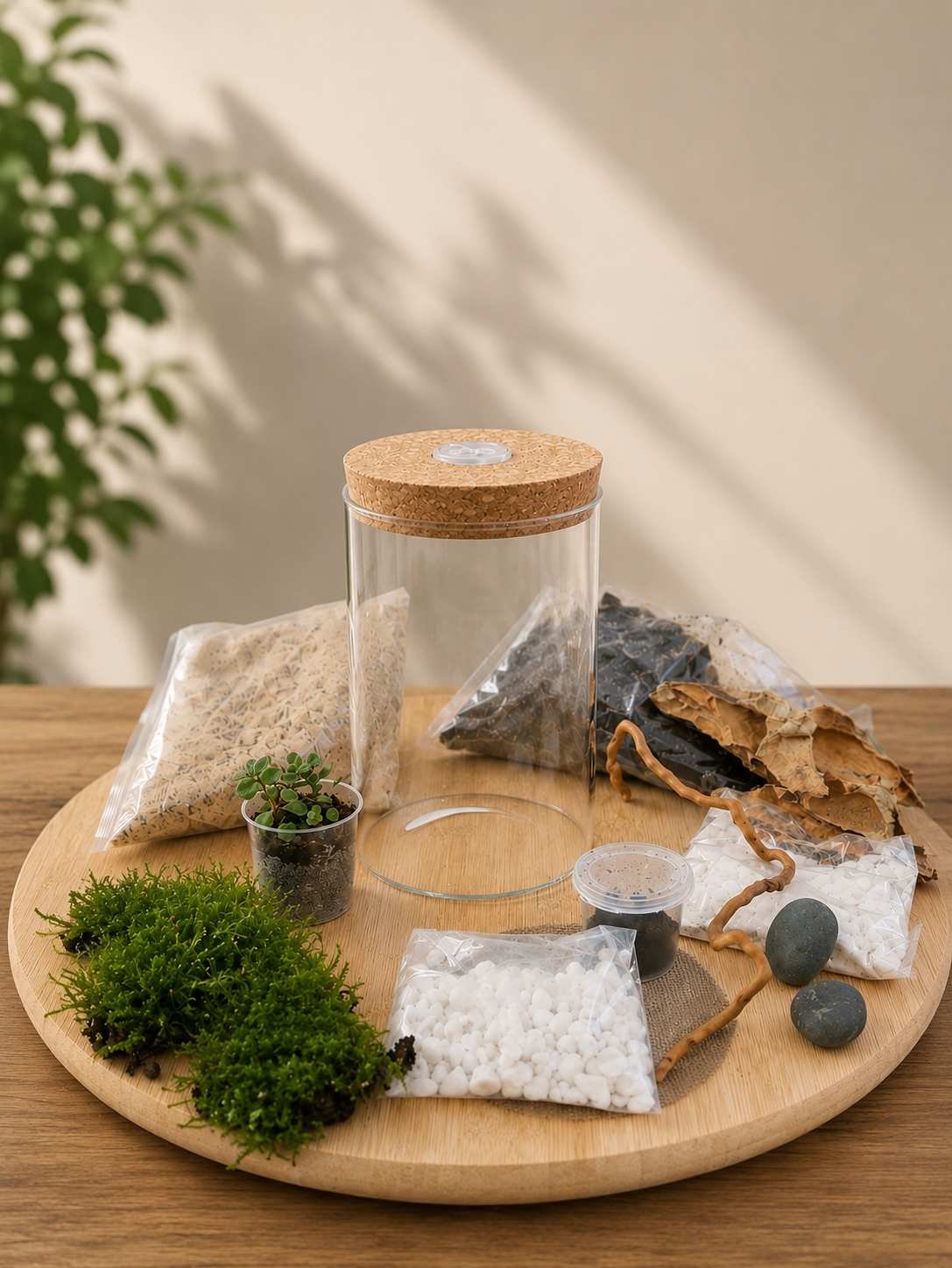 Mountain Stream Moss Terrarium Kit with LED Lid