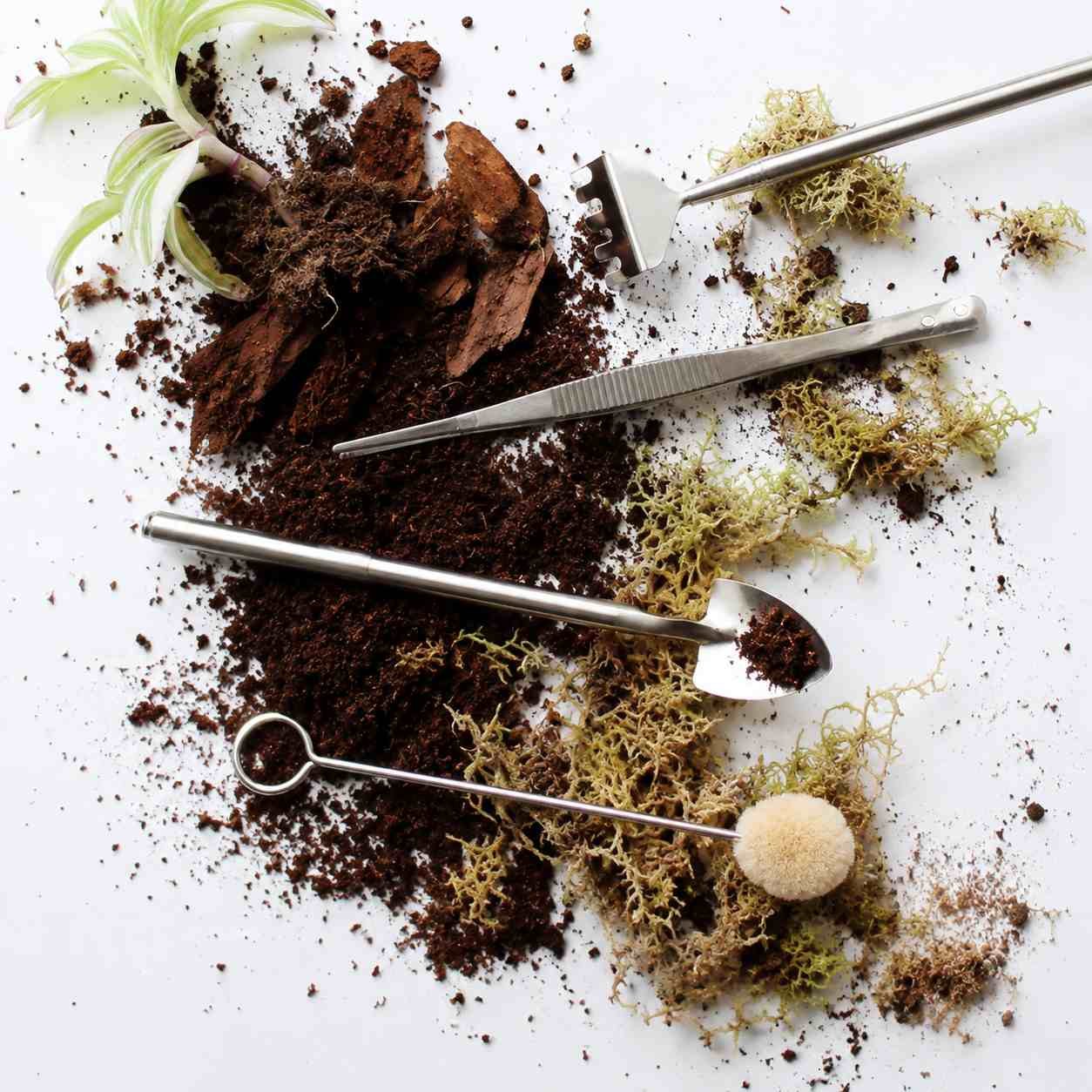Terrarium Tool Kit - Image 2