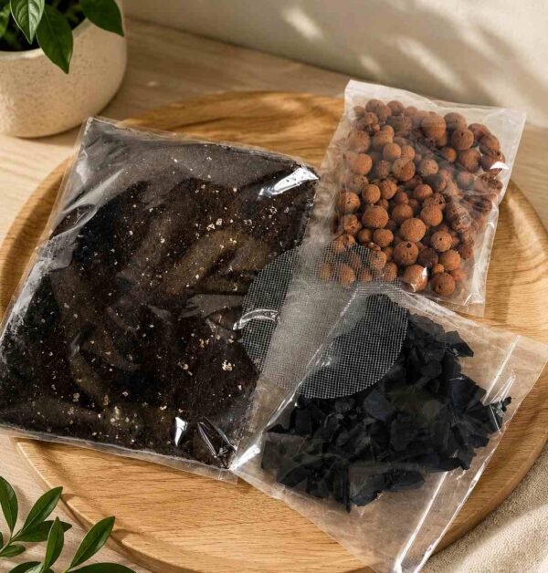 Small Terrarium Base Layer Kit
