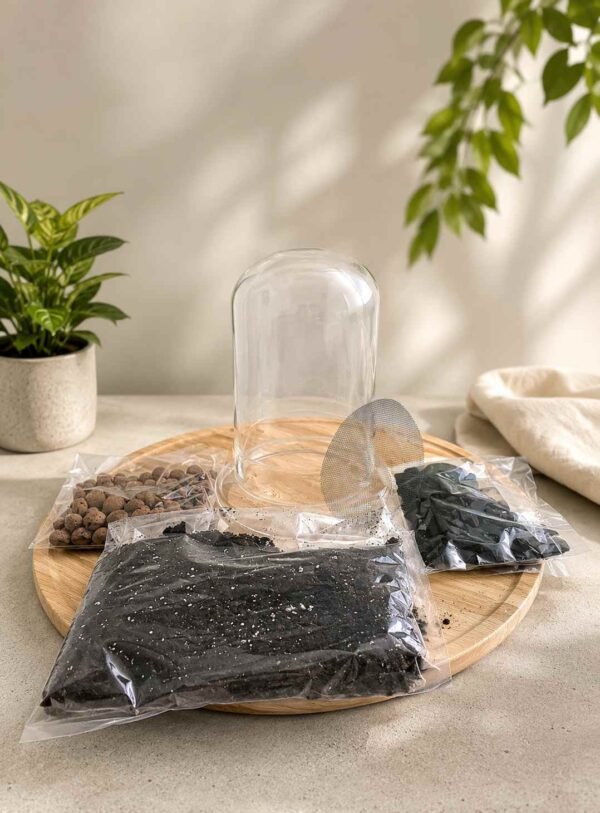 Dome Glass Terrarium Kit