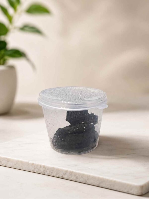 Terrarium Springtail Starter Culture