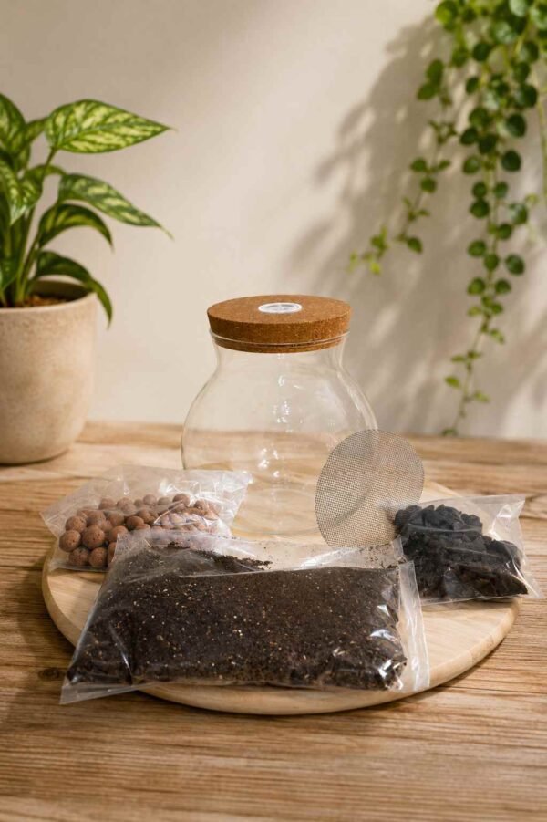 LumiTerra LED Terrarium Kit – 16cm Glass Jar