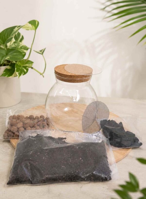 Aurora Glass Terrarium Kit Jar – 16cm x 15cm