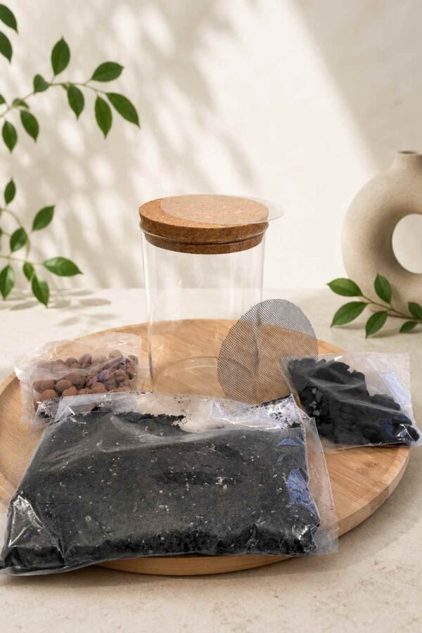 EcoDome DIY Terrarium Kit – Glass Top & Cork Lid